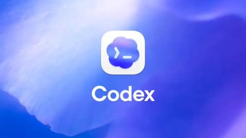 OpenAI Codex 企业推广：签约企业即送 2 个月免费额度